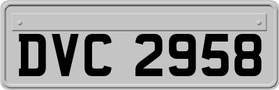 DVC2958