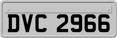 DVC2966