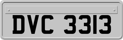 DVC3313