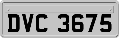 DVC3675