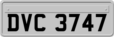 DVC3747