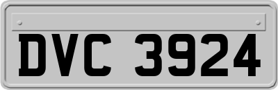 DVC3924
