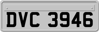 DVC3946