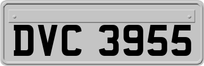 DVC3955