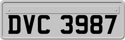 DVC3987