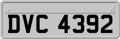 DVC4392