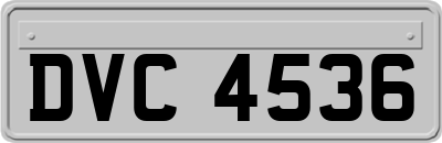DVC4536
