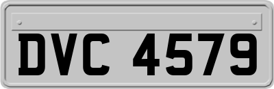 DVC4579