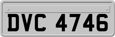 DVC4746