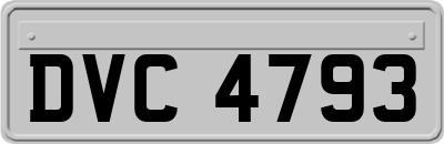 DVC4793