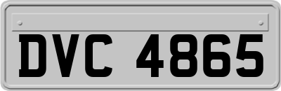 DVC4865