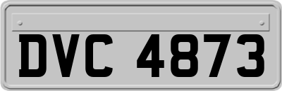 DVC4873