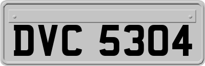 DVC5304
