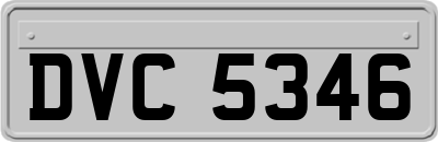 DVC5346