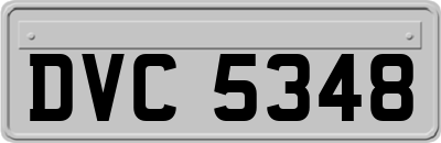 DVC5348