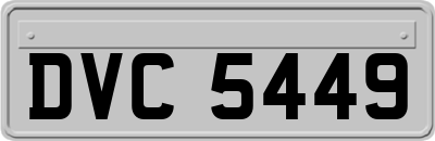 DVC5449