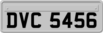 DVC5456