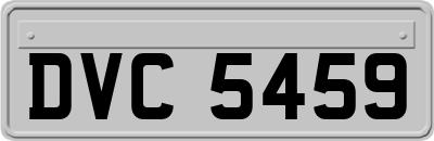 DVC5459