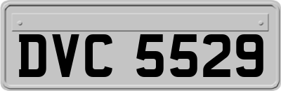 DVC5529