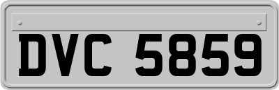 DVC5859