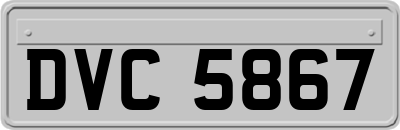 DVC5867