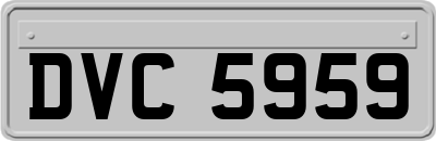 DVC5959