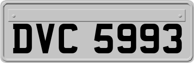 DVC5993