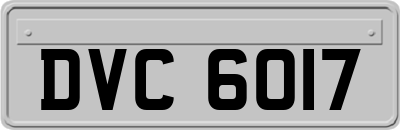 DVC6017