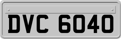 DVC6040
