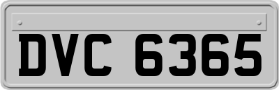 DVC6365
