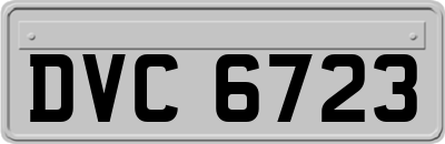 DVC6723