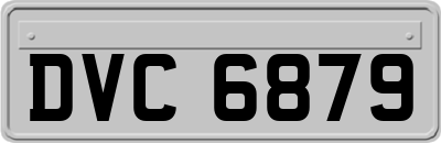 DVC6879