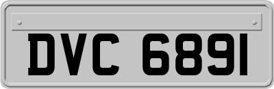 DVC6891