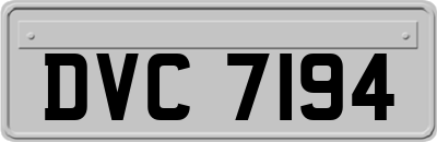 DVC7194