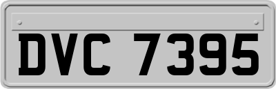 DVC7395
