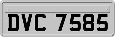 DVC7585