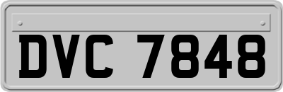 DVC7848