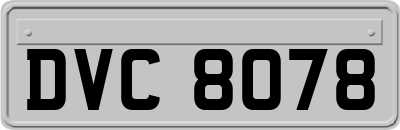 DVC8078