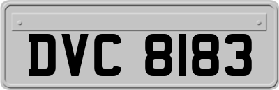 DVC8183