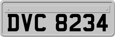 DVC8234