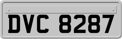 DVC8287