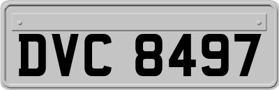 DVC8497
