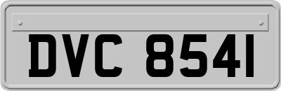 DVC8541