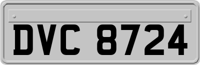 DVC8724