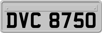 DVC8750