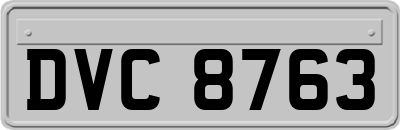 DVC8763