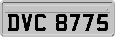 DVC8775