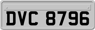 DVC8796