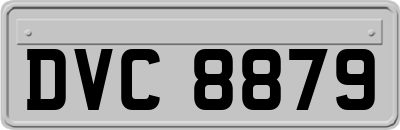 DVC8879