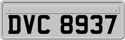 DVC8937